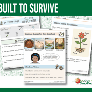 Built to Survive: Animal and Plant Adaptations