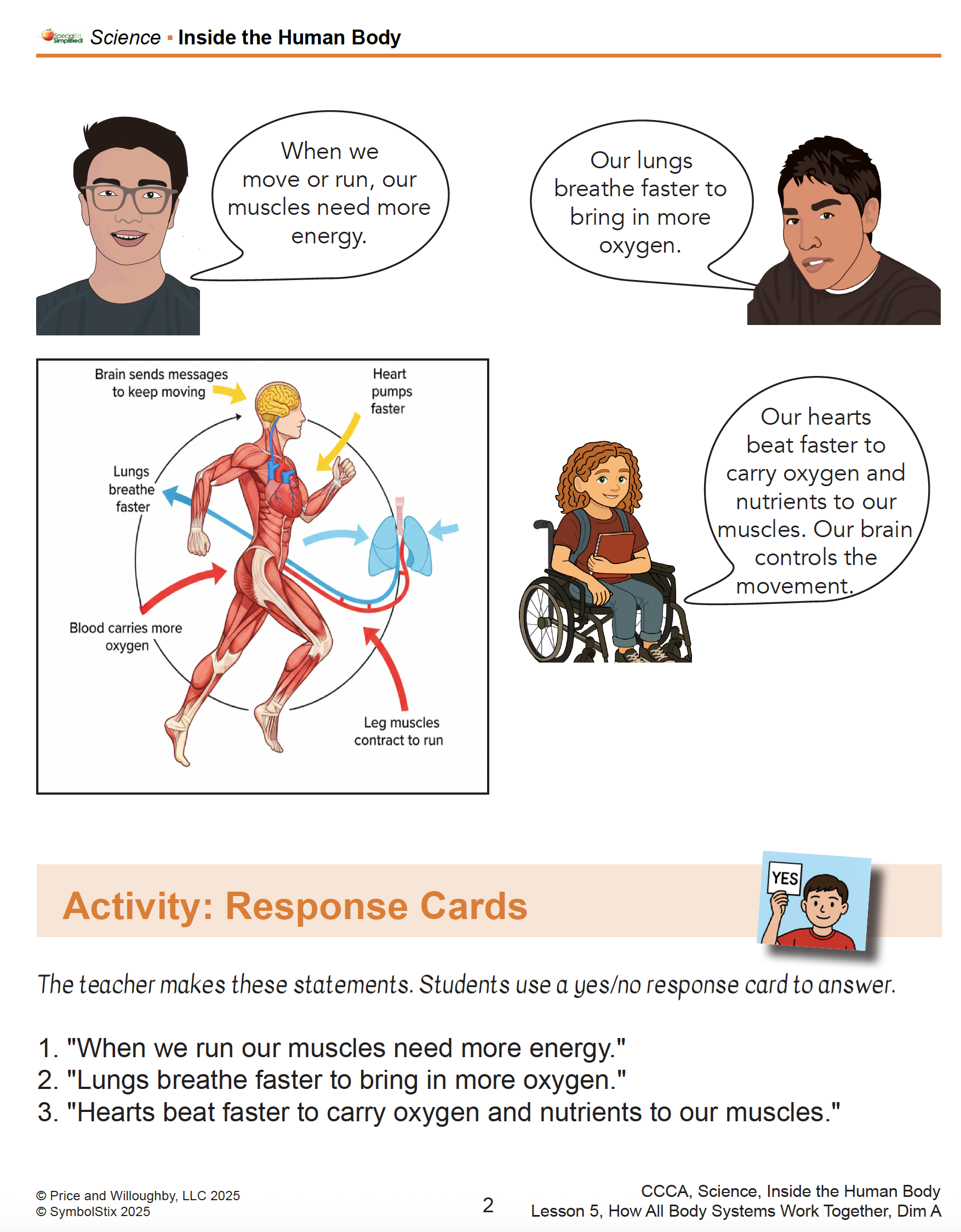 Inside the Human Body - Image 3