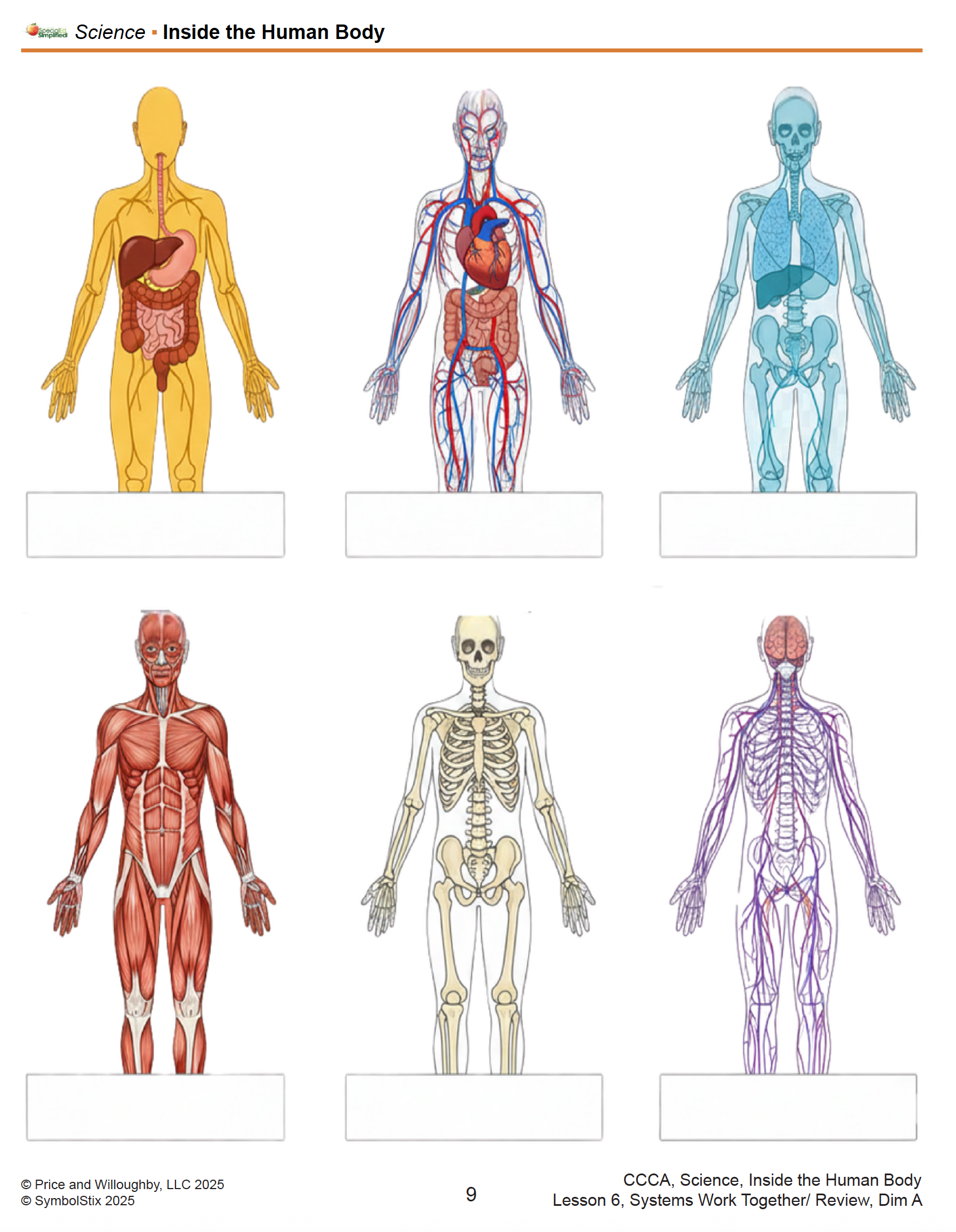 Inside the Human Body - Image 4