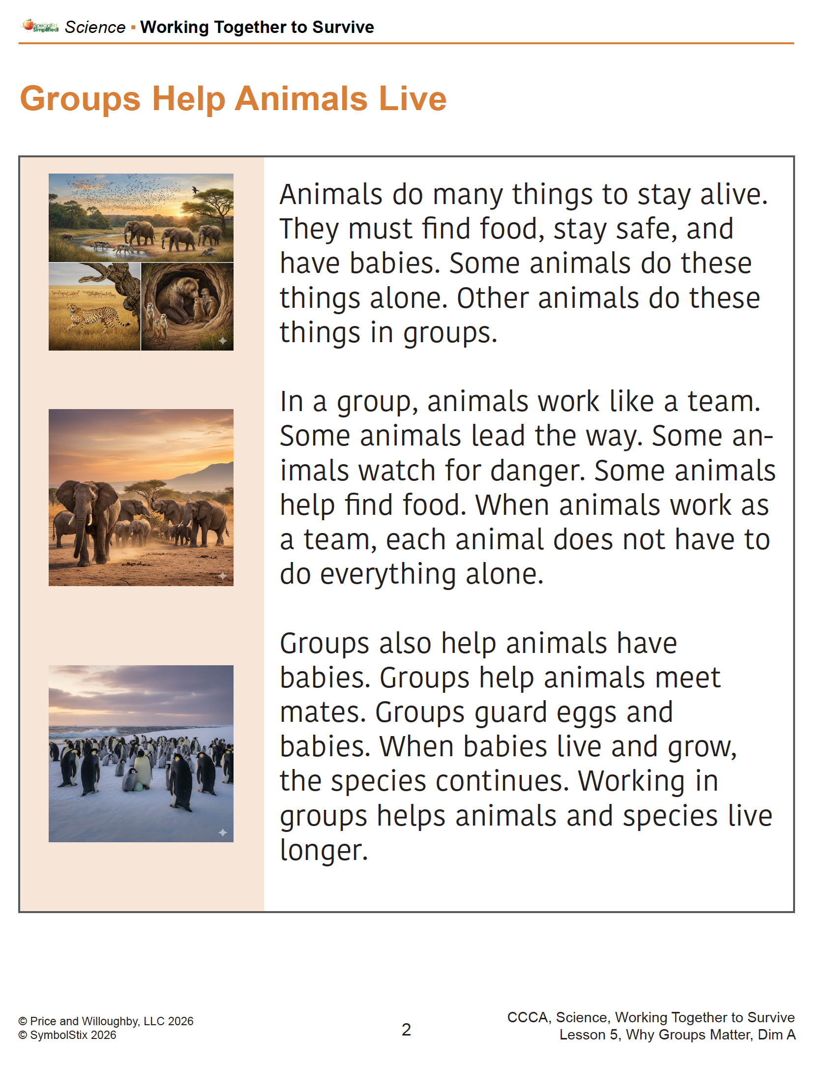 Working Together to Survive - Image 4