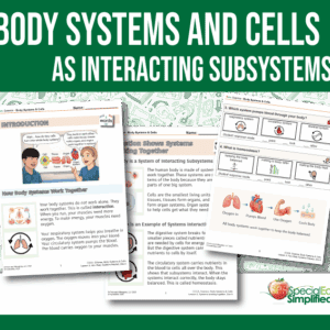 Body Systems & Cells as Interacting Subsystems